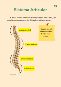 Atualizado - Ebook Cinesiologia e Biomecânica (2)